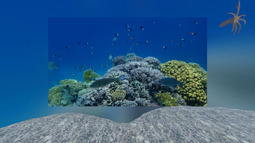 View snorkeling photos with a safe seabed under your feet to combat fear of heights.